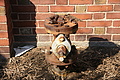 DSC03122 - Bernhard Saalfeld