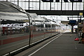 DSC03314 - Bernhard Saalfeld