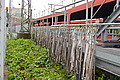 DSC00267 - Bernhard Saalfeld