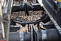 DSC00271 - Bernhard Saalfeld