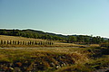 DSC00281 - Bernhard Saalfeld