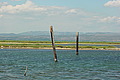 DSC00285 - Bernhard Saalfeld