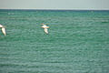 DSC00305 - Bernhard Saalfeld