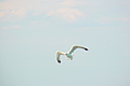 DSC00306 - Bernhard Saalfeld