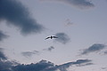 DSC00308 - Bernhard Saalfeld
