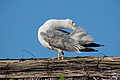 DSC00311 - Bernhard Saalfeld