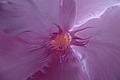 DSC00315 - Bernhard Saalfeld