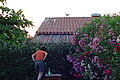 DSC00318 - Bernhard Saalfeld