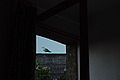 DSC00320 - Bernhard Saalfeld
