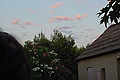 DSC00326 - Bernhard Saalfeld