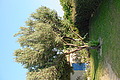 DSC00330 - Bernhard Saalfeld