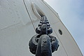 DSC00342 - Bernhard Saalfeld
