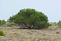 DSC00356 - Bernhard Saalfeld
