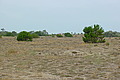 DSC00357 - Bernhard Saalfeld