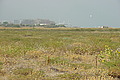 DSC00359 - Bernhard Saalfeld