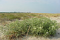 DSC00363 - Bernhard Saalfeld