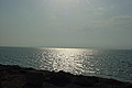 DSC00367 - Bernhard Saalfeld