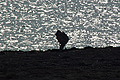 DSC00368 - Bernhard Saalfeld