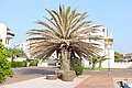 DSC00373 - Bernhard Saalfeld