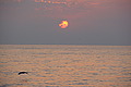 DSC00381 - Bernhard Saalfeld