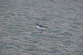 DSC00386 - Bernhard Saalfeld