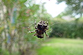 DSC00391 - Bernhard Saalfeld