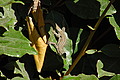 DSC00398 - Bernhard Saalfeld