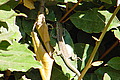 DSC00399 - Bernhard Saalfeld