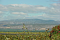 DSC00401 - Bernhard Saalfeld