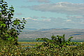 DSC00402 - Bernhard Saalfeld