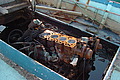 DSC00405 - Bernhard Saalfeld