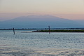 DSC00408 - Bernhard Saalfeld