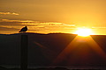 DSC00409 - Bernhard Saalfeld