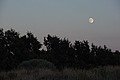 DSC00412 - Bernhard Saalfeld