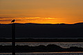 DSC00414 - Bernhard Saalfeld