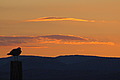 DSC00416 - Bernhard Saalfeld