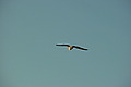 DSC00422 - Bernhard Saalfeld