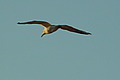 DSC00423 - Bernhard Saalfeld