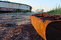 DSC00426 - Bernhard Saalfeld
