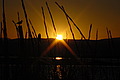 DSC00427 - Bernhard Saalfeld