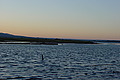 DSC00428 - Bernhard Saalfeld