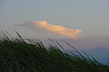 DSC00432 - Bernhard Saalfeld