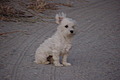 DSC00439 - Bernhard Saalfeld