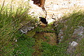 DSC00450 - Bernhard Saalfeld