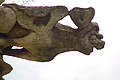 DSC00478 - Bernhard Saalfeld