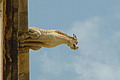 DSC00480 - Bernhard Saalfeld