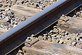 DSC00493 - Bernhard Saalfeld