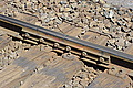 DSC00497 - Bernhard Saalfeld