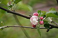 DSC09491 - Bernhard Saalfeld
