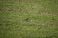 DSC09496 - Bernhard Saalfeld